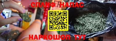 гашик Бузулук