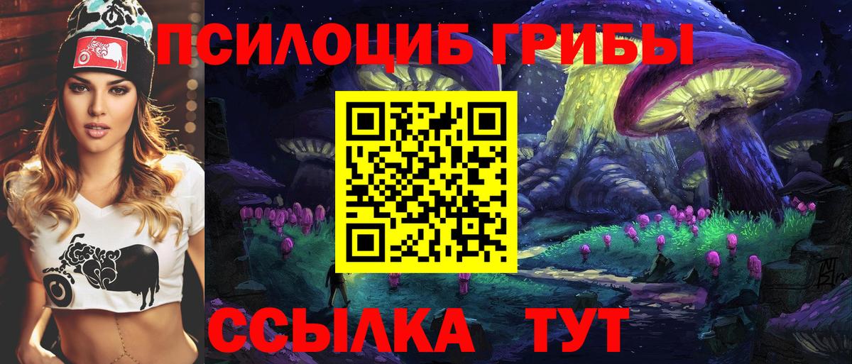 Псилоцибиновые грибы GOLDEN TEACHER  Вход с VPN  Псилоцибиновые грибы Psilocybe  Североморск 
