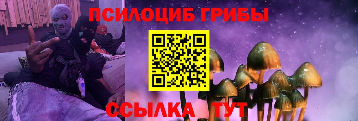 Галлюциногенные грибы прущие грибы Североморск
