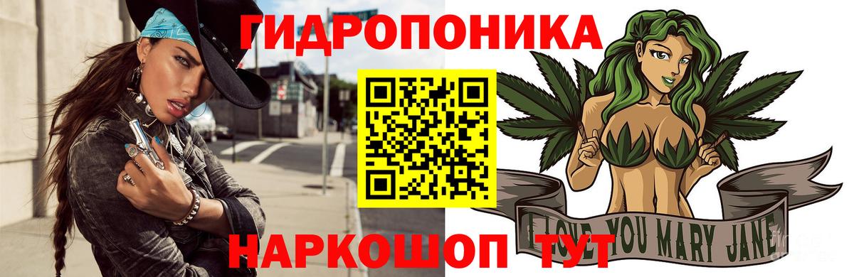Марихуана сатива  Вход с VPN  Североморск  Шишки марихуана VHQ 